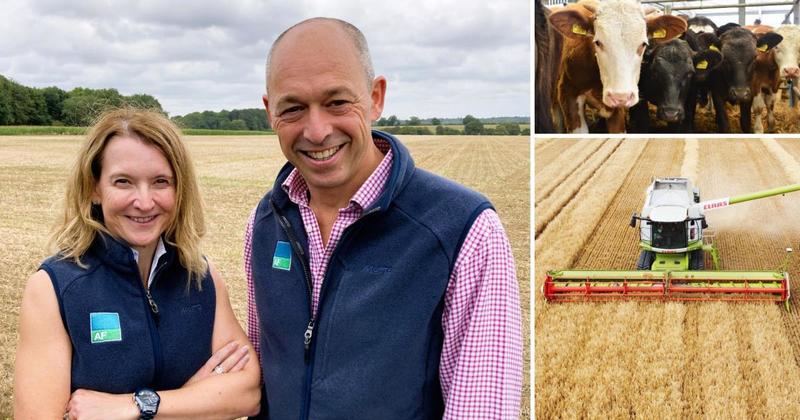 Farming costs are creeping upwards - adding to 'profound impact' of crop prices Farming costs are creeping upwards - adding to 'profound impact' of crop prices