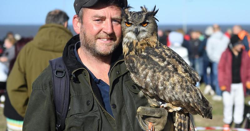 Large owl on the loose after being spooked by military jet Large owl on the loose after being spooked by military jet