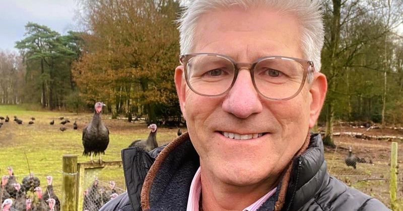 Thousands of Christmas turkeys killed in 'heartbreaking' bird flu culls Thousands of Christmas turkeys killed in 'heartbreaking' bird flu culls