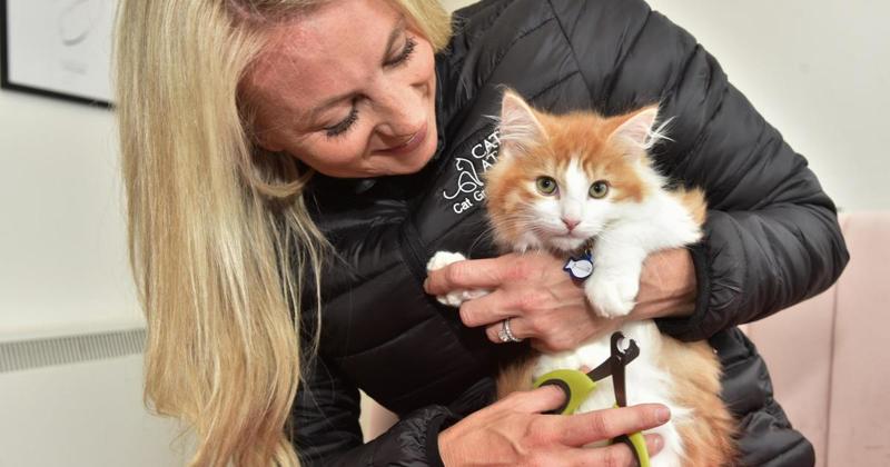 Norfolk's top growing businesses up for award Norfolk's top growing businesses up for award