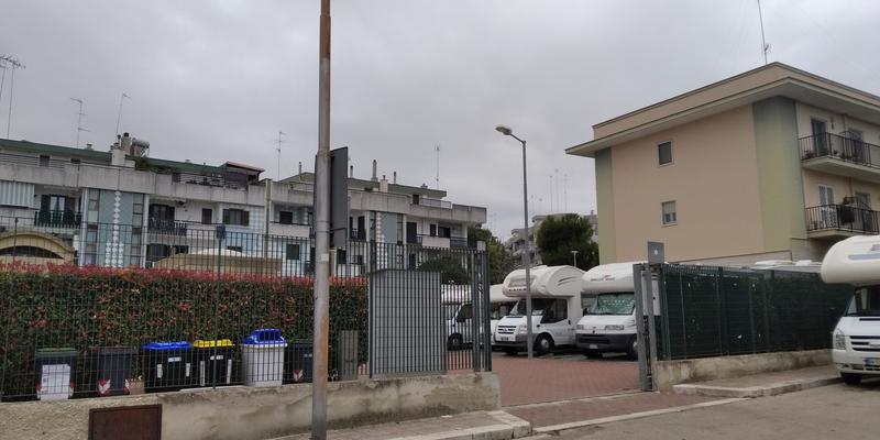 Sagra del fungo cardoncello: ecco dove parcheggiare Sagra del fungo cardoncello: ecco dove parcheggiare