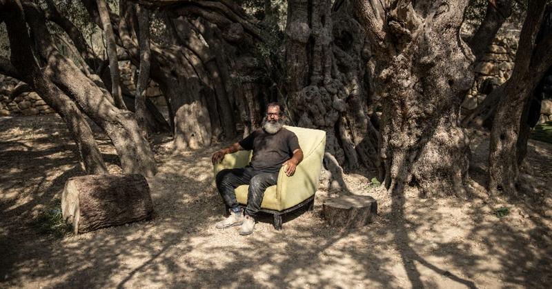 West Bank's ancient olive tree a 'symbol of Palestinian endurance' West Bank's ancient olive tree a 'symbol of Palestinian endurance'