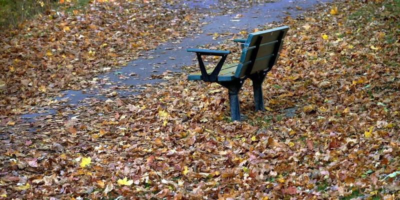 Jag älskar november Jag älskar november