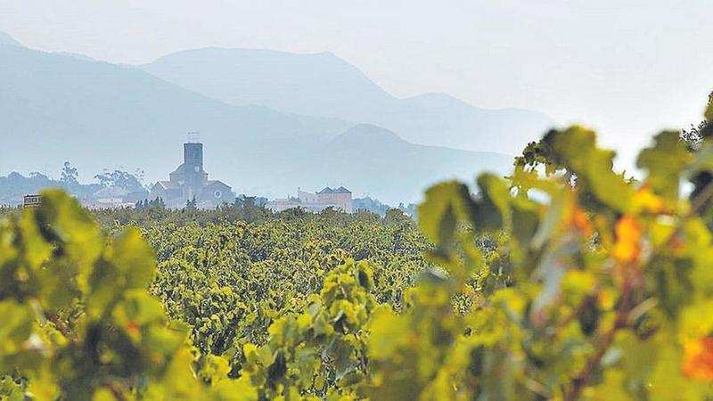 Beure menys, però millor