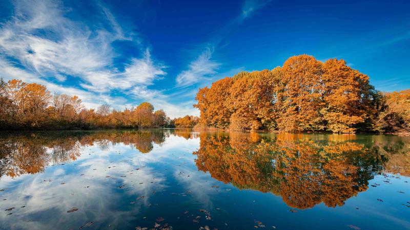 Il foliage al Boscoincittà: la Milano che non ti aspetti