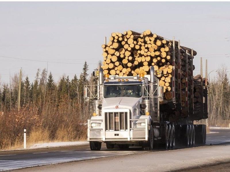 Opinion: Managing a matchstick forest