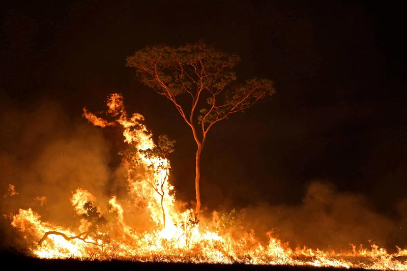 Povo indígena do AM aciona órgãos públicos por danos ambientais Povo indígena do AM aciona órgãos públicos por danos ambientais
