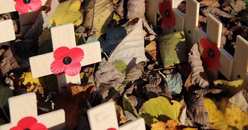 I served but I now think twice about wearing the poppy – here’s why