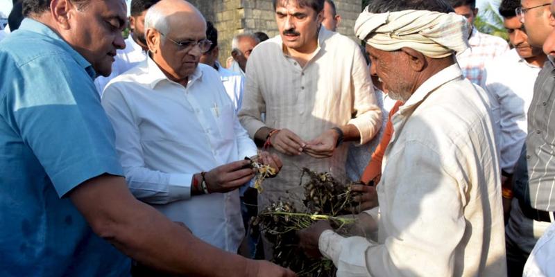 BJP’s Own Leaders Question Gujarat Govt’s ‘Historic’ Relief Package for Rain-Affected Farmers