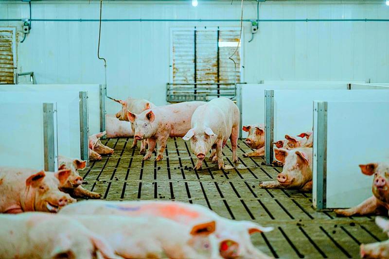 SIEMENS SAYS: Labour and immigration – not so simple SIEMENS SAYS: Labour and immigration – not so simple