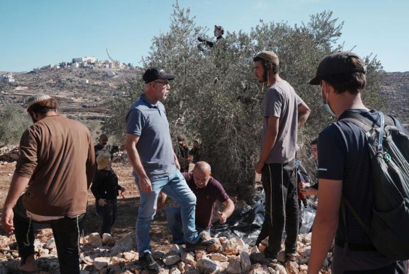 Israeli violations during the olive harvest: A war on Palestinian land and identity