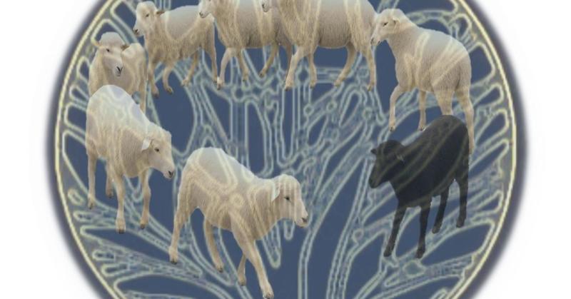 Why Culture Doesn't Evolve Through Natural Selection