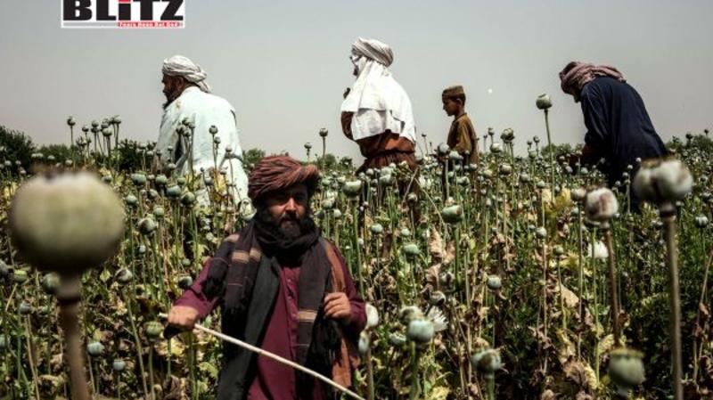 Afghanistan’s opium decline masks a dangerous rise in synthetic drug production Afghanistan’s opium decline masks a dangerous rise in synthetic drug production