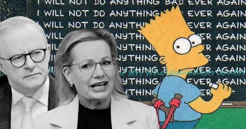 Politics 101: Learning the wrong lesson every time