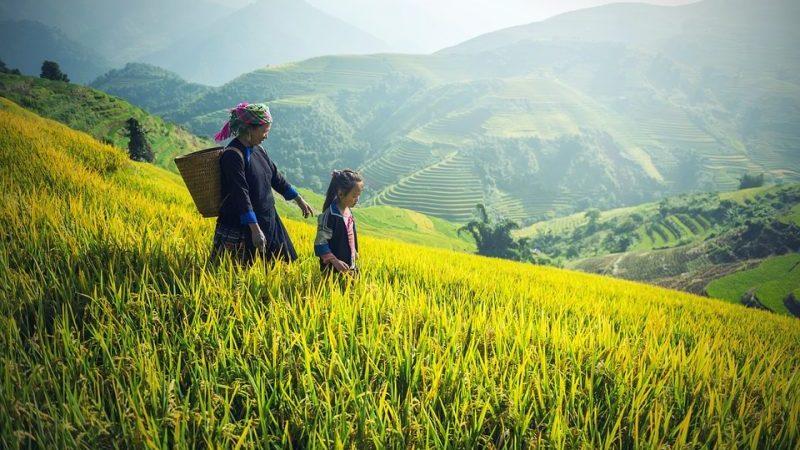 China’s 2035 Climate Roadmap Sets The Pace For COP30 – OpEd China’s 2035 Climate Roadmap Sets The Pace For COP30 – OpEd
