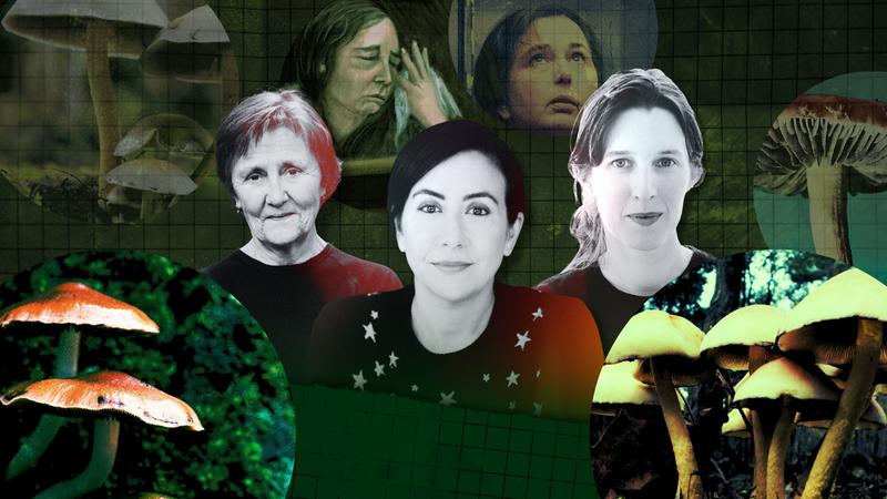 ‘Oh, the fog lying like a blanket over this sad town’: The Mushroom Tapes sees the humanity in an inhumane story ‘Oh, the fog lying like a blanket over this sad town’: The Mushroom Tapes sees the humanity in an inhumane story