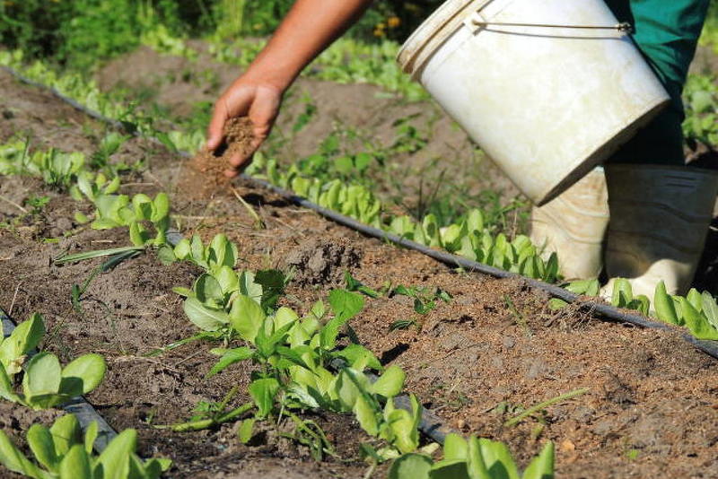 Mudança em tributos demanda revisão de linha de produtos Mudança em tributos demanda revisão de linha de produtos