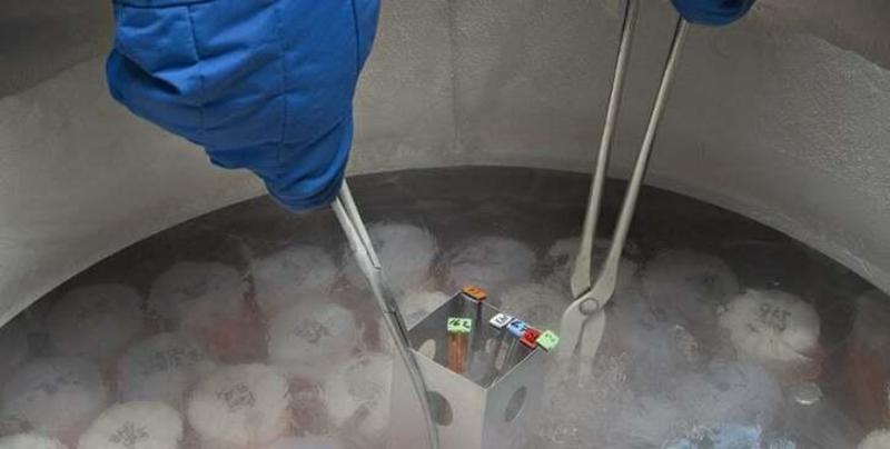 Caso Pma a Lagosanto, la testimonianza: «Il nostro embrione è al Delta, che fine farà?»