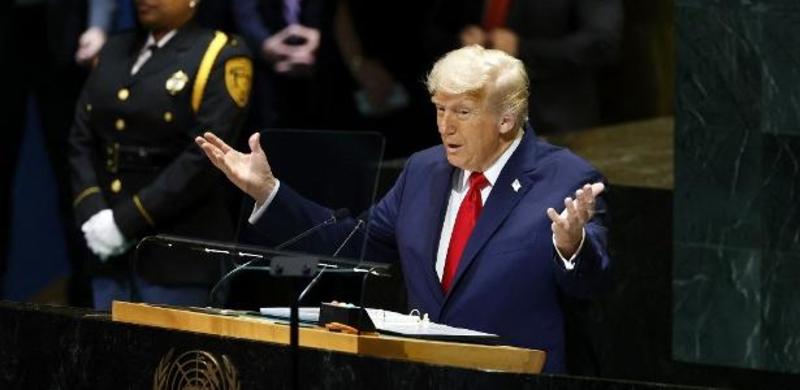 'Refugiados' de Trump, americanos buscam cidadania estrangeira e se mudam 'Refugiados' de Trump, americanos buscam cidadania estrangeira e se mudam