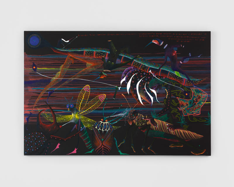 Rember Yahuarcani On Wielding Paint as a Tool of Cultural Preservation and Resistance