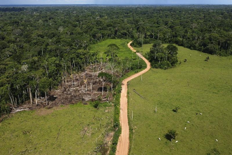 A bold new investment fund aims to channel billions into tropical forest protection – one key change can make it better A bold new investment fund aims to channel billions into tropical forest protection – one key change can make it better