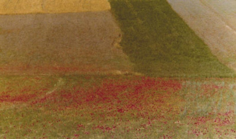 Mario Giacomelli protagonista assoluto della fotografia tra papaveri rossi e paesaggio umbro. Per il centenario della nascita i capolavori in mostra alla Galleria Nazionale dell’Umbria