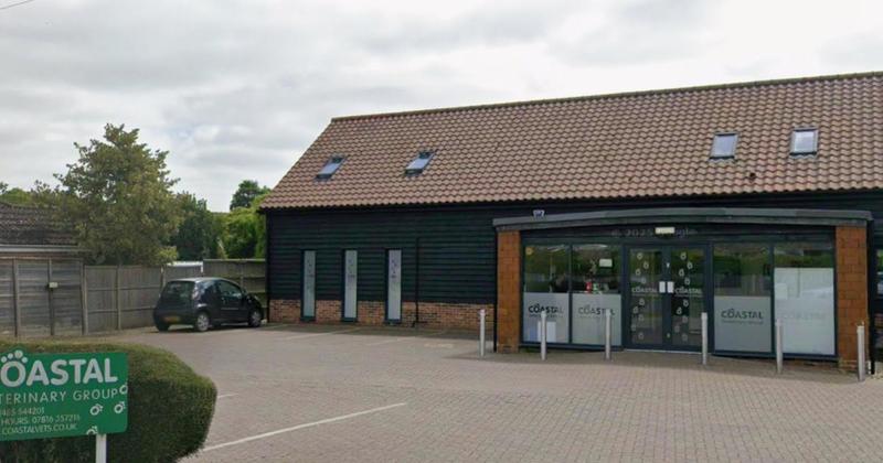 Vet practice in Norfolk named among best in the country Vet practice in Norfolk named among best in the country