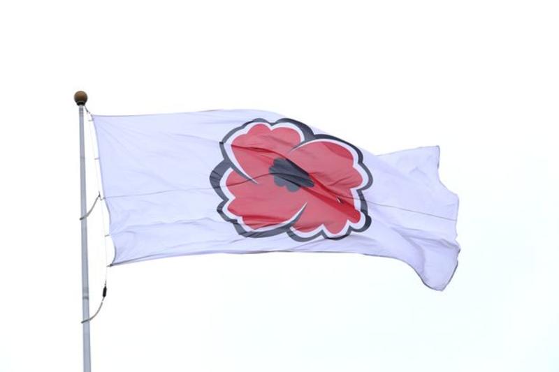 DE LUCA-BARATTA: On Remembrance Day, honour the fallen, and the country they fought for