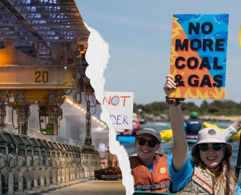 Tomago smelter and why real climate action requires new politics