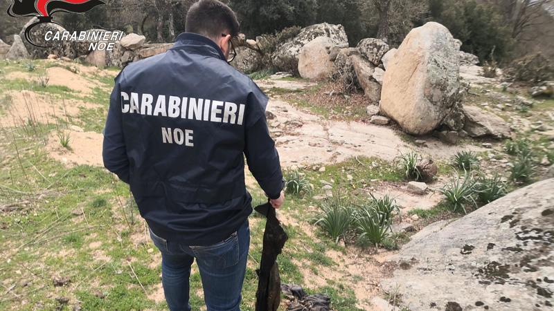 Smaltimento illecito di rifiuti, l’avvocato dell’azienda accusata di associazione per delinquere: “I miei assistiti chiariranno tutto” Smaltimento illecito di rifiuti, l’avvocato dell’azienda accusata di associazione per delinquere: “I miei assistiti chiariranno tutto”