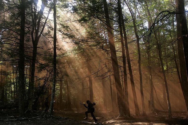 Flying colours /					 													 						The lost world of paintball parties