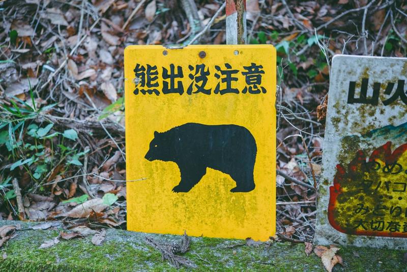 Along with Japan’s urban bears comes fur and loathing