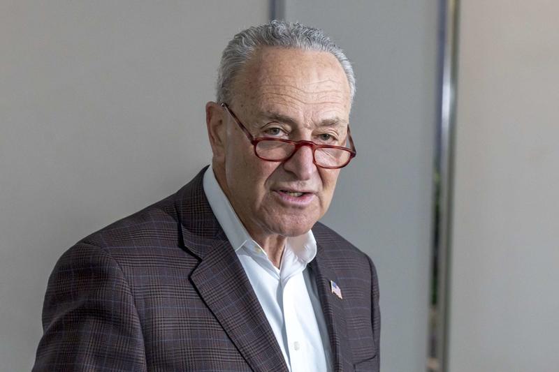 Punching Bag Schumer