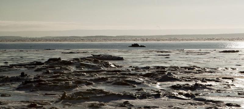 Le Saint-Laurent s’asphyxie : un déséquilibre invisible menace la vie marine et le climat