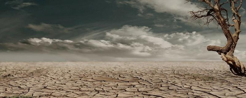 Cambiamento climatico, tutti si ravvedono ma l’Ue prosegue imperterrita: e intanto il green continua a costarci caro