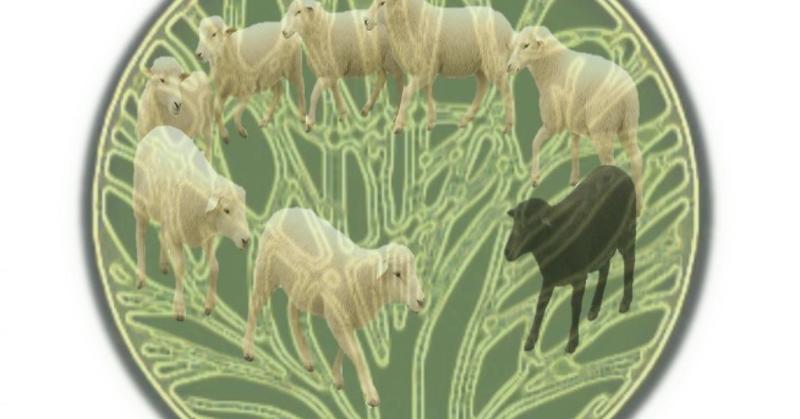 It's Misleading to say Culture Is 'Not Strictly Darwinian'