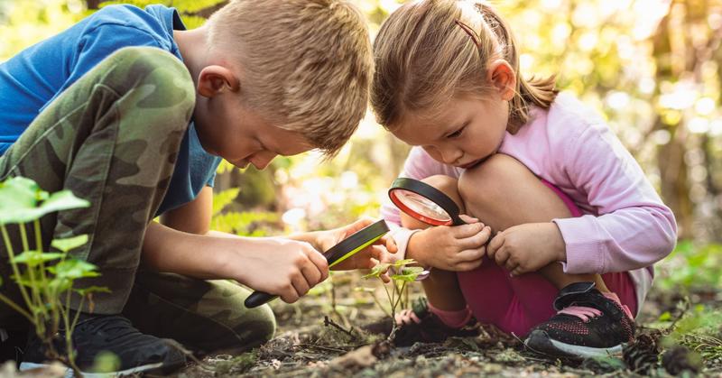 The Curiosity We Lost—and Why It Matters More than Ever