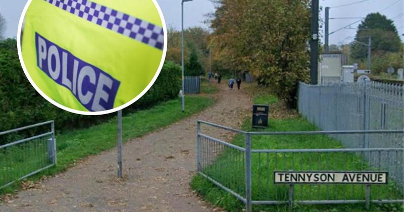 Four arrested after teenager robbed in alleyway