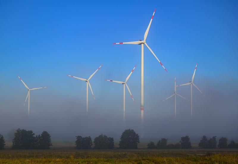 Windräder im Wald auf der Kippe: Brandenburgs SPD zieht offenbar Notbremse