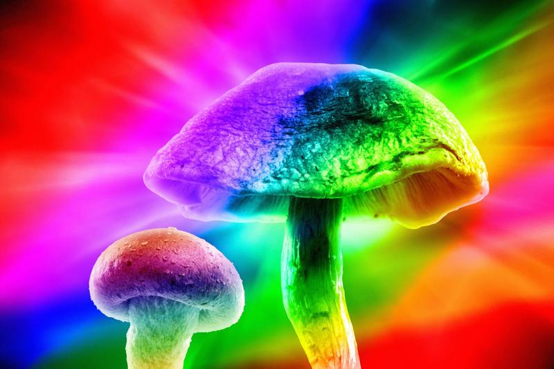 The Perils of Viewing Psilocybin Strictly As a Psychiatric Medication