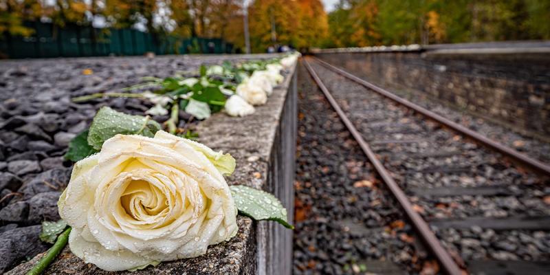 Weimer: Gedenkstätten «zentrale Pfeiler» der Demokratie