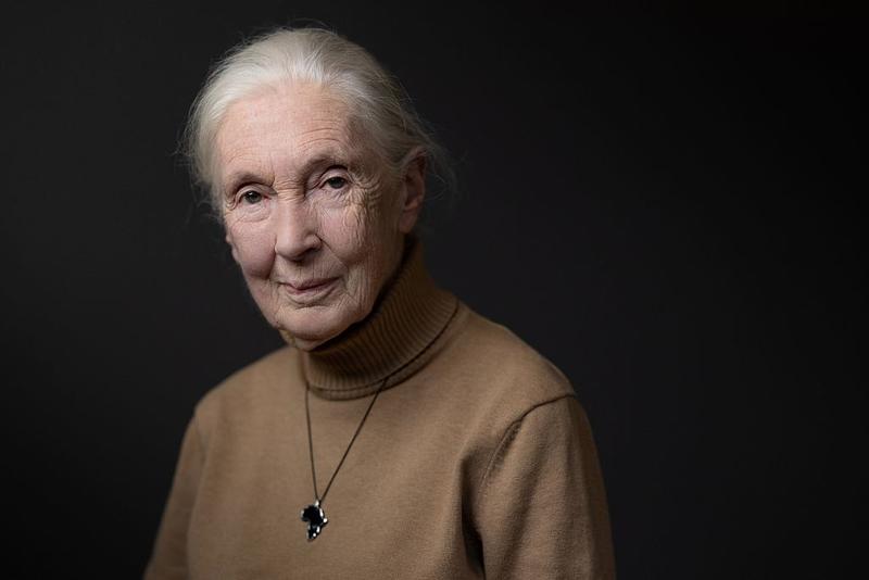 Jane Goodall’s Plea for Future Generations Jane Goodall’s Plea for Future Generations