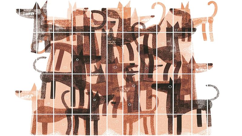 Supreme Court’s order on stray dogs is inhumane, anti-science and anti-law