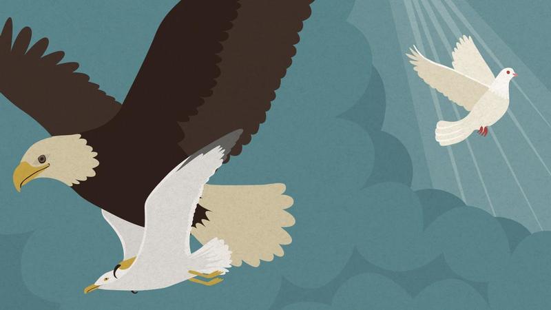 Contemporáneos de Feijóo