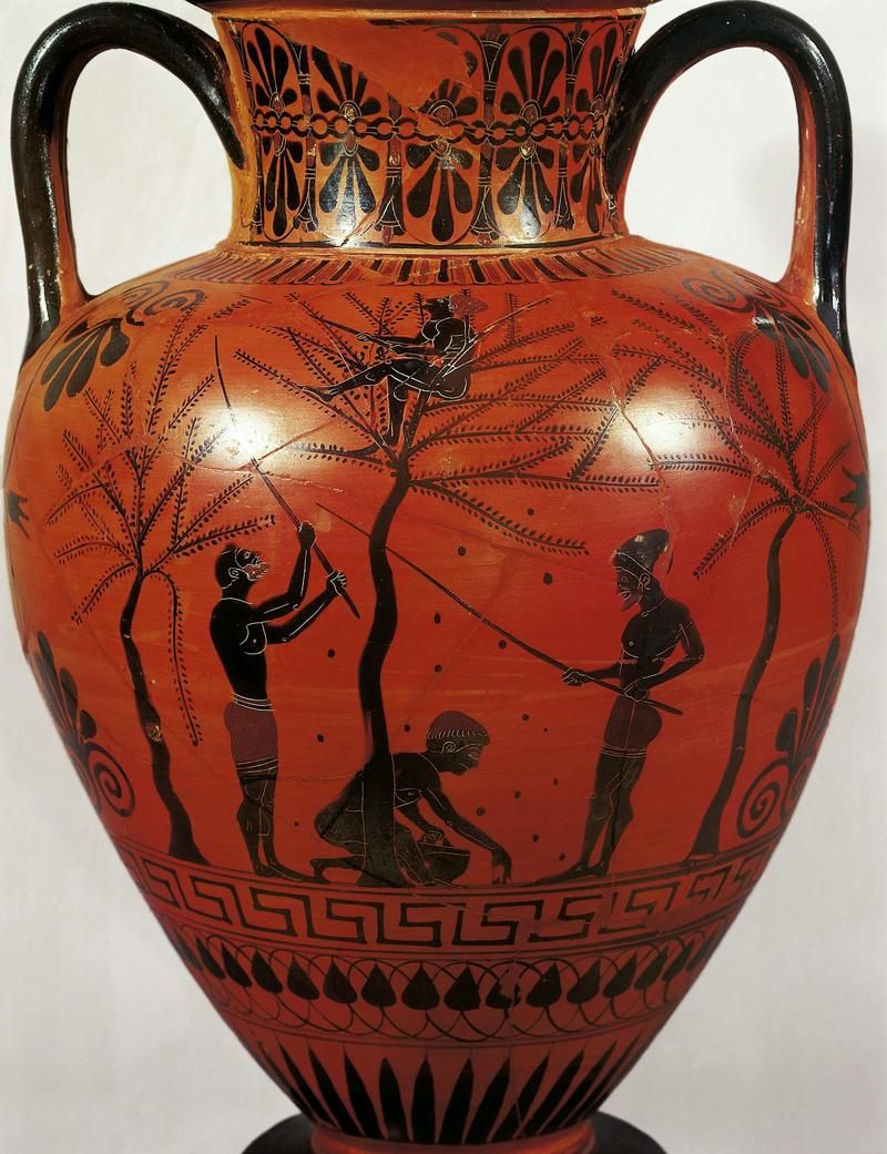 Healing, purification and holiness: how ancient Greeks, Romans and early Christians used olive oil