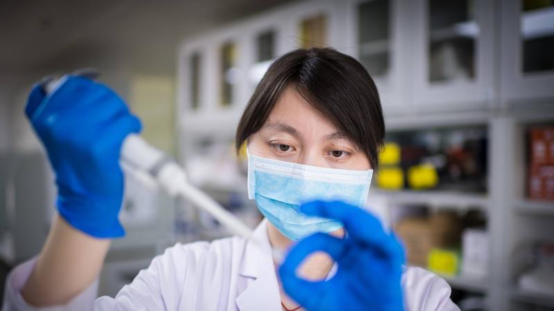 Europa ist China in der Medizin komplett ausgeliefert – und reagiert nicht entschlossen genug