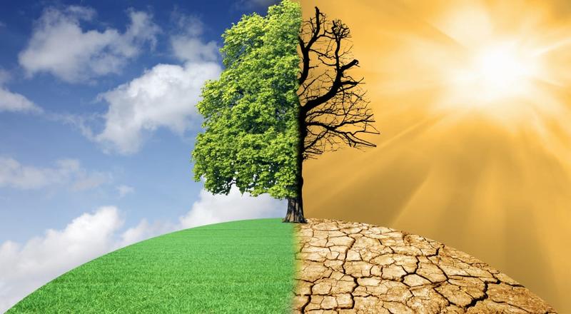 Balancing economy, nature, and future prosperity