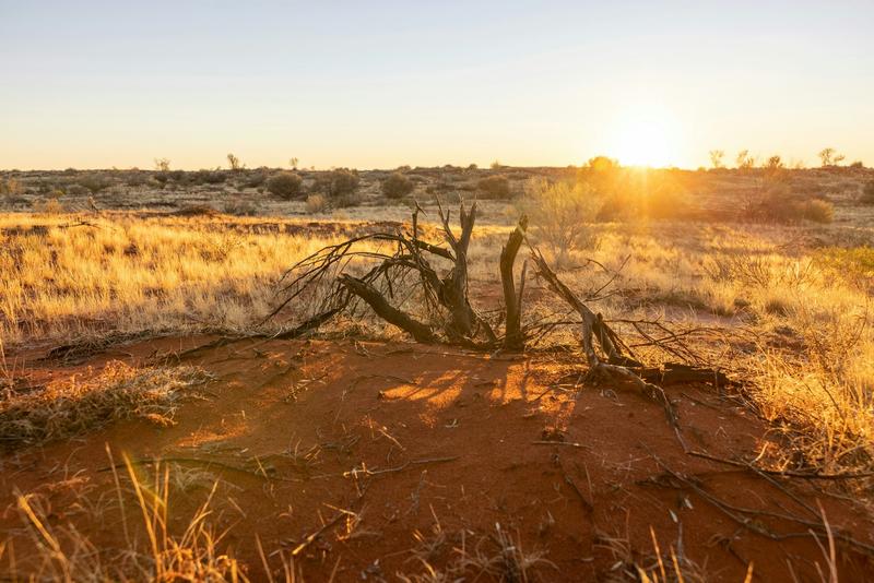 Why Jane Harper’s ‘outback noir’ novels make for comfortable – and uncomfortable – reading Why Jane Harper’s ‘outback noir’ novels make for comfortable – and uncomfortable – reading