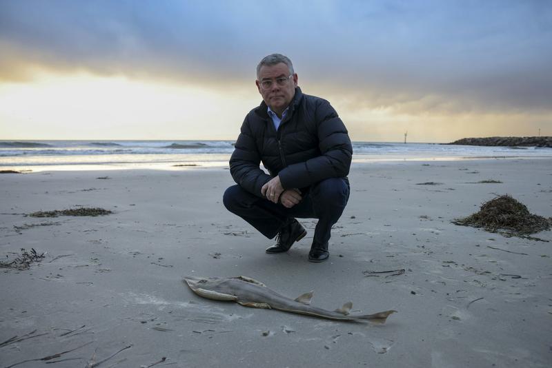 Politics with Michelle Grattan: Murray Watt on the compromises to pass new environmental laws before christmas