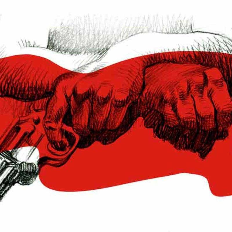 Violência à brasileira entre a catarse popular e o cálculo eleitoral